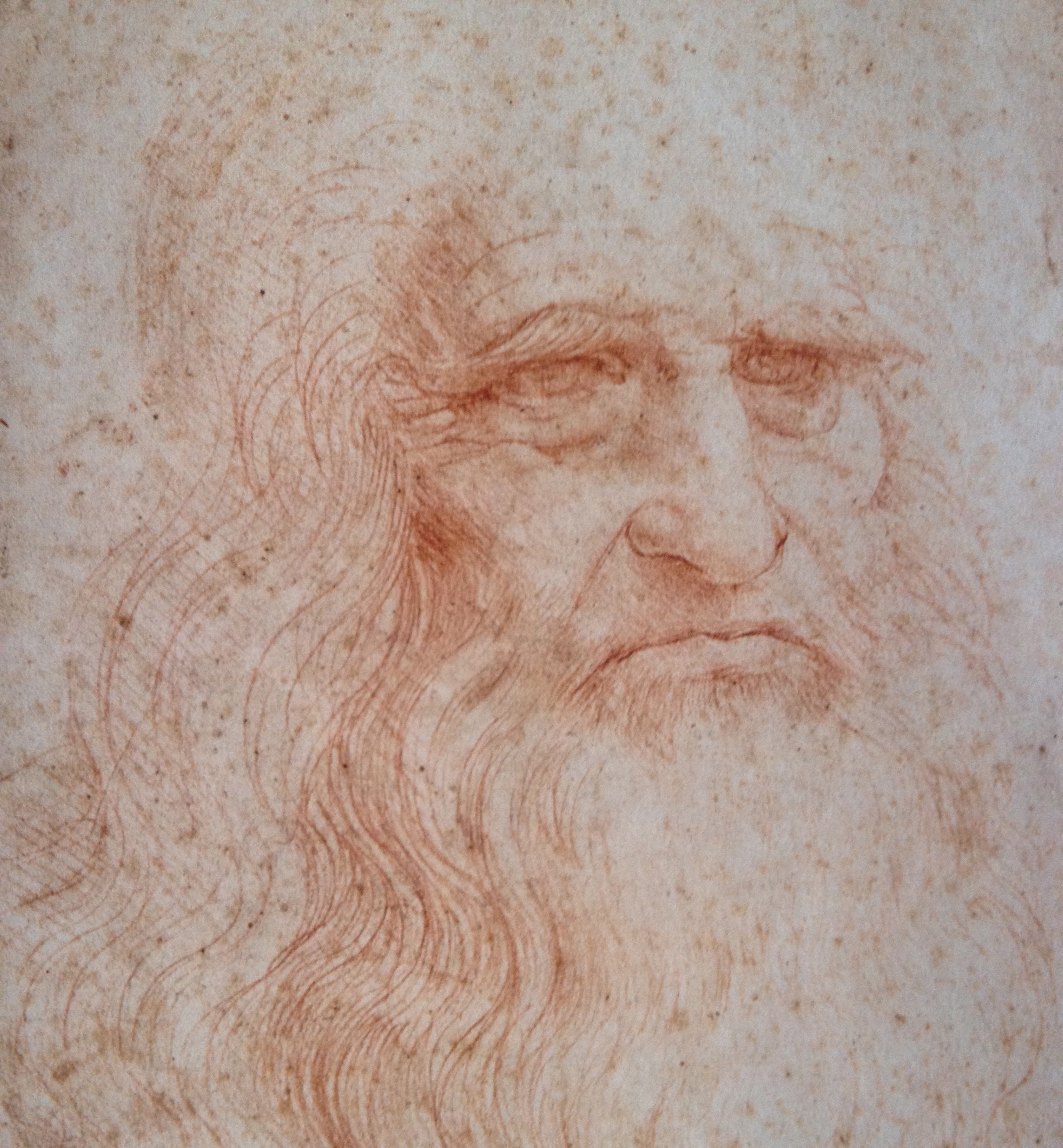 Notes on Leonardo da Vinci